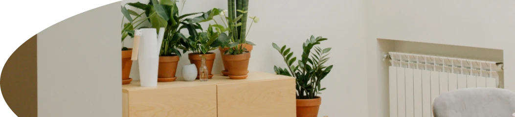 Liongate Facade Solution